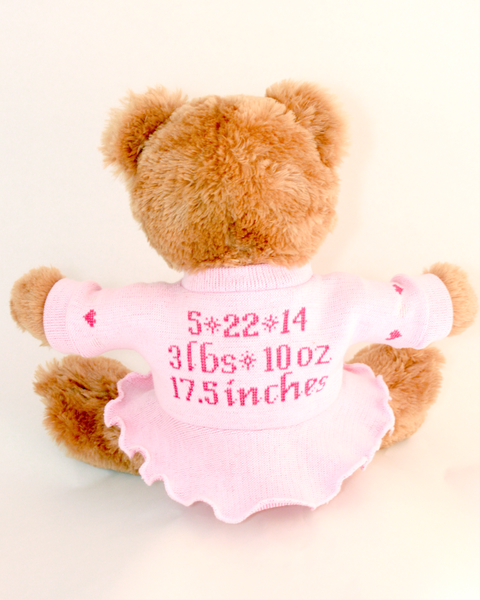 💞 Mother’s Day Gift Aerie Harper Bra & Teddy Bear